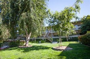 San Jose apartment for rent - a yard with two trees in front of a building