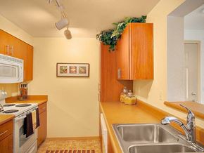 Federal Way apartment for rent - a kitchen with a sink and a stove