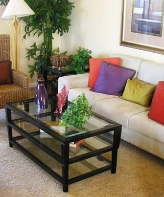 Bellingham apartment for rent - A glass coffee table with a plant on it.