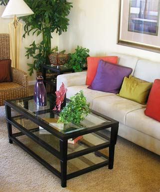 Bellingham apartment for rent - A glass coffee table with a plant on it.