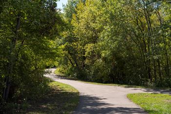 Landscape path