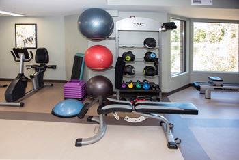 Free weights