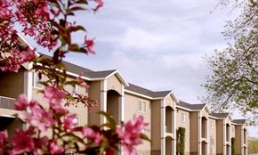 Rexburg apartment for rent - a row of houses with flowers in the foreground