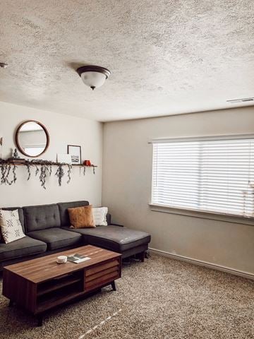 Rexburg apartment for rent - a living room with a couch and a coffee table