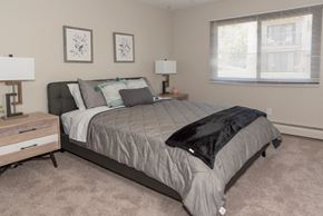 West Saint Paul apartment for rent - a bedroom with a bed and a dresser and a window