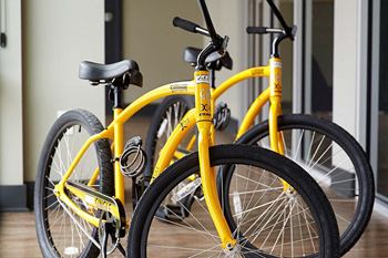 Bikes -  the cole apartments in columbus, indiana
