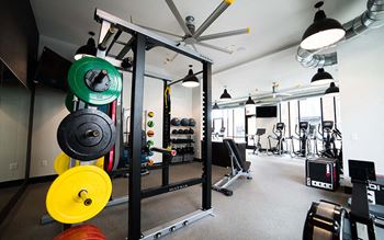 Fitness center, free weights