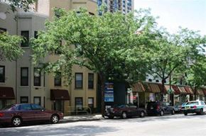 Chicago apartment for rent - a city street with cars parked in front of a tree