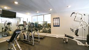 Evanston apartment for rent - the gym is equipped with cardio machines and weights