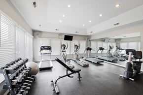Grove City apartment for rent - Fitness center with cardio machines, free weights, and large windows