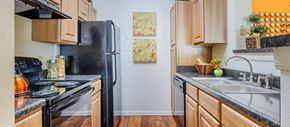 Nashville apartment for rent - a kitchen with a stove refrigerator and sink