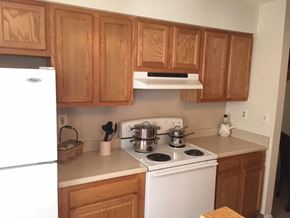 Rochester townhouse for rent - a kitchen with a stove and a refrigerator