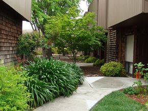 Santa Rosa apartment for rent - a sidewalk in front of a building
