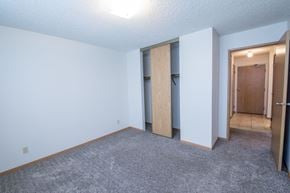Brandon apartment for rent - a bedroom with a carpeted floor and a door to a closet