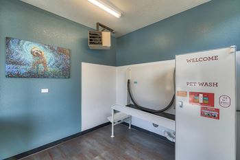 Pet wash station