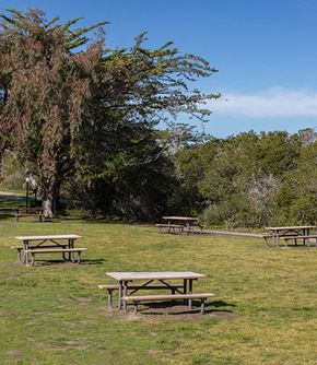 Marina apartment for rent - grass field with picnic benches