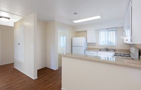 Marina apartment for rent - apartment kitchen