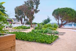 Marina apartment for rent - Garden