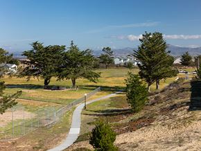 Marina apartment for rent - hills, trees, pathway