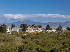 Marina apartment for rent - aerial view of trees and building