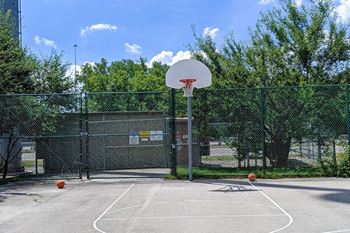 Basketball court