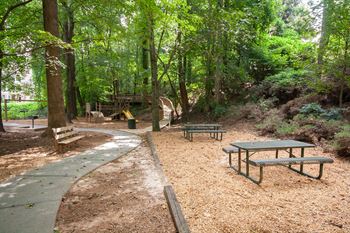 Outdoor picnic area