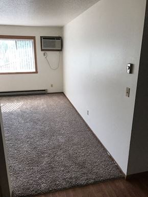 Fargo apartment for rent - A room with a carpet and a window.