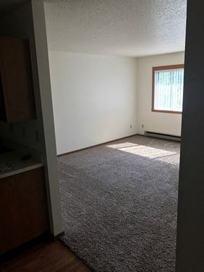 Fargo apartment for rent - A room with a carpeted floor and a window with blinds.