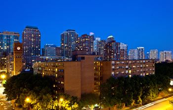 Beautiful downtown chicago views