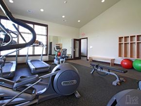 Verona apartment for rent - a gym with cardio equipment and weights on the floor