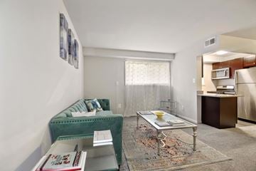 Baltimore apartment for rent - a living room with a green couch and a table