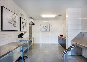 Pet wash station