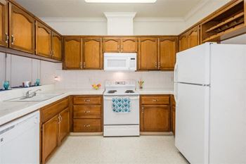 Refrigerator and kitchen appliances