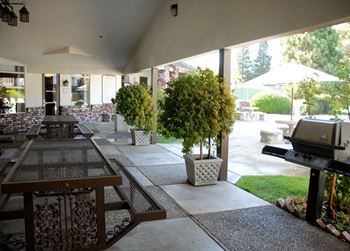Bbq grilling stations and picnic tables
