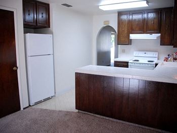 Refrigerator and kitchen appliances