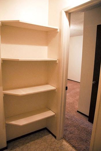 Built-in shelving in closet