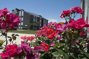 Atlantic City apartment for rent - Leasing Office Rosebed