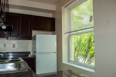 Floor plan for 1 bed, 1 bath, 650 sqft