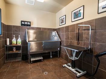Indoor pet grooming salon