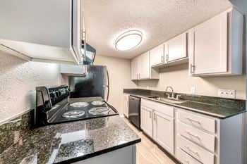 Newly renovated apartments