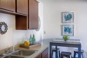 Hopkins multi-family for rent - Sink And Faucet at Knollwood Towers East Apartments, Hopkins, MN, 55343