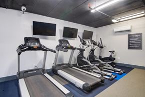 Alexandria apartment for rent - the gym is equipped with state of the art equipment