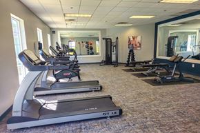 Hermitage apartment for rent - A gym with treadmills and other exercise equipment.