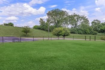 Bark park