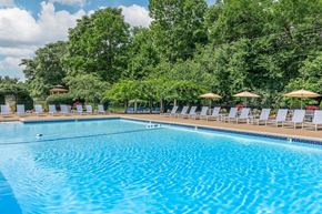 Loveland apartment for rent - a swimming pool with chairs and umbrellas at the resort