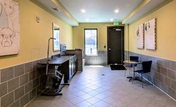Pet spa and pampering station