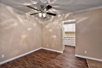 Ceiling fan