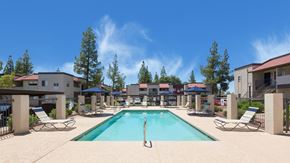 Mesa apartment for rent - A large swimming pool surrounded by lounge chairs and trees.