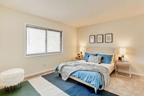 Alexandria apartment for rent - a bedroom with a bed and a window