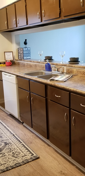 Gautier apartment for rent - a kitchen with a sink and cabinets and a dishwasher